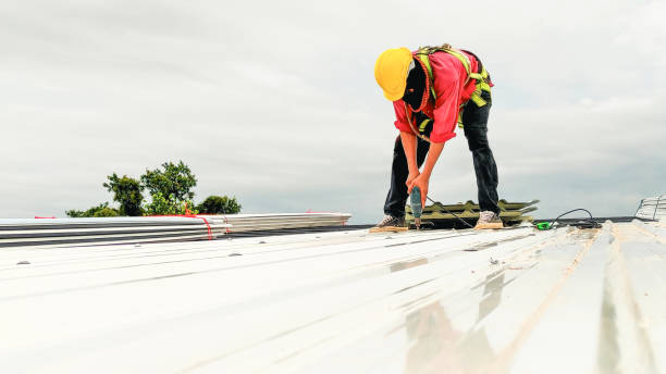 Best Storm Damage Roof Repair  in , TN